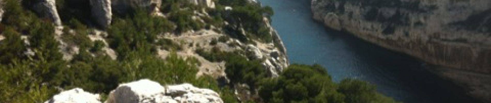 Trail Walking Marseille - gorgues longues-port miou-port pin-en vau-vallon des rampes-petelins - Photo