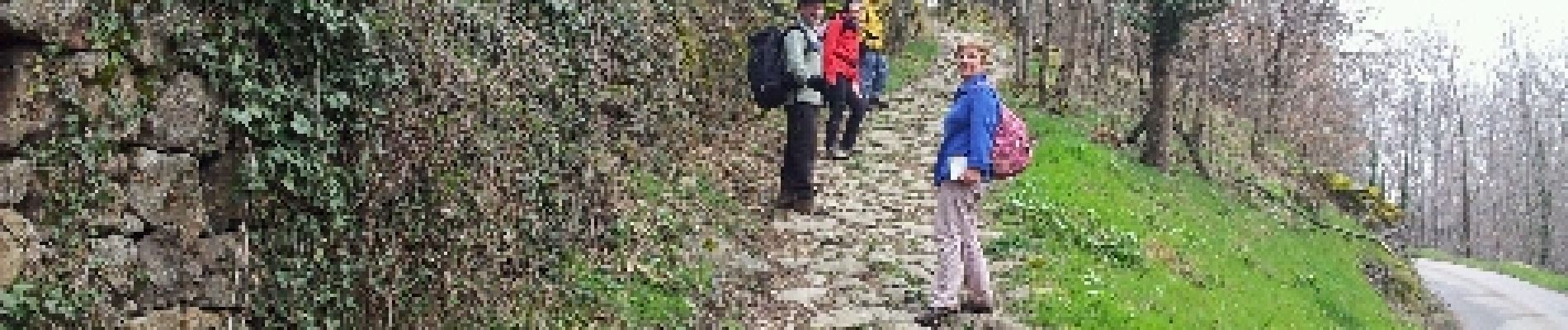 Trail Walking Pélussin - sentier du priel  - Photo