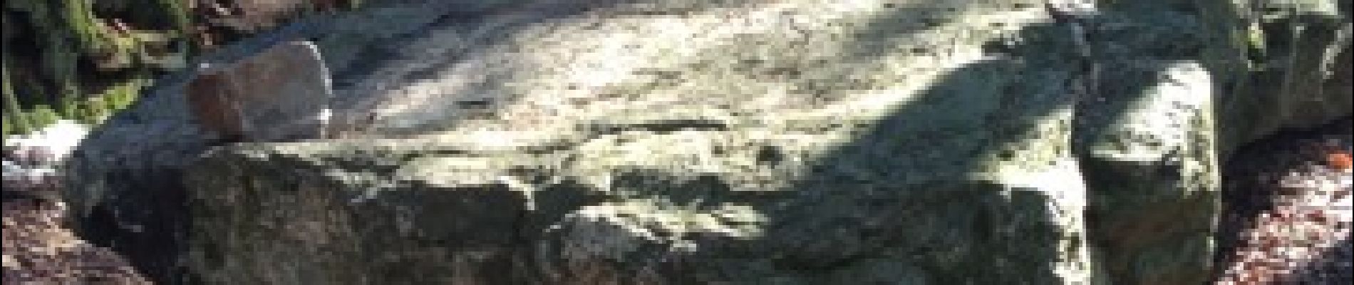 Point d'intérêt Jalhay - le dolmen - Photo