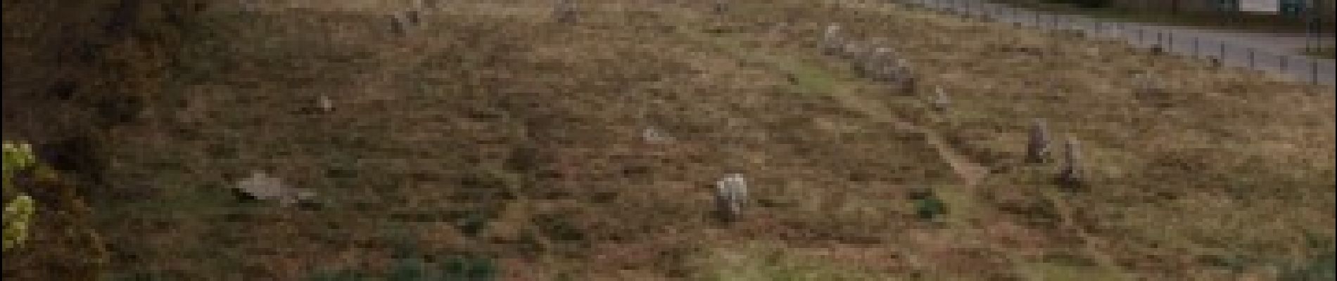 Tocht Mountainbike Carnac - Carnac forêt et menhirs - Photo