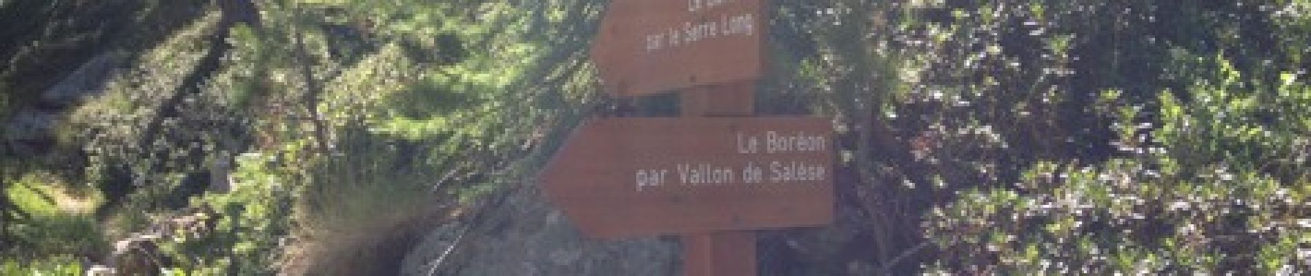 Tour Wandern Saint-Martin-Vésubie - Mercantour Mont Archas - Photo