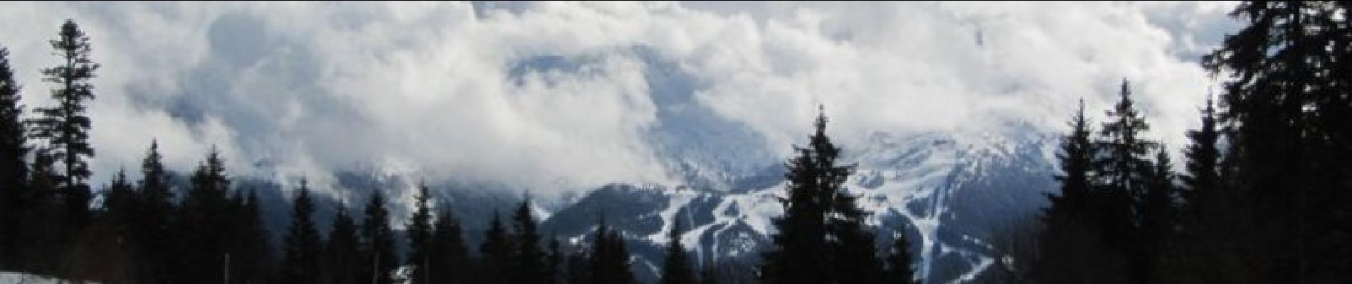 Tour Schneeschuhwandern Autrans-Méaudre en Vercors - Le Gros Martel - Méaudre - Photo