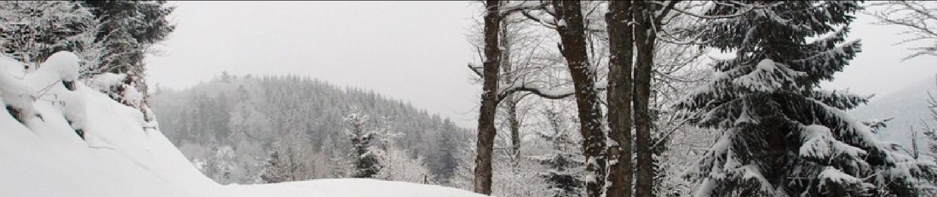 Tour Schneeschuhwandern Ban-de-Laveline - Traversée des Vosges en raquettes - Étape 7 - de Québrux à Sainte Marie aux Mines - Photo