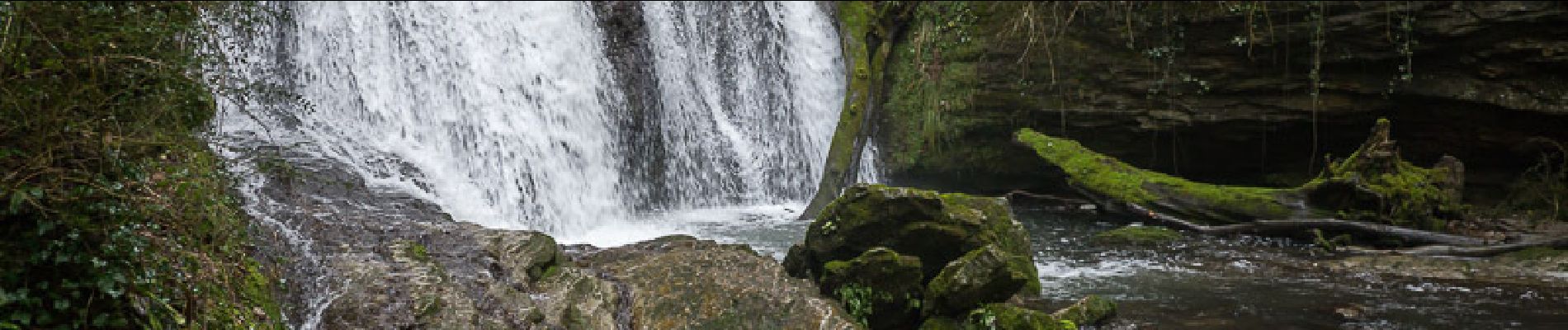 Excursión Senderismo La Bridoire - Au fil du Ruisseau du Grenant - La Bridoire - Photo