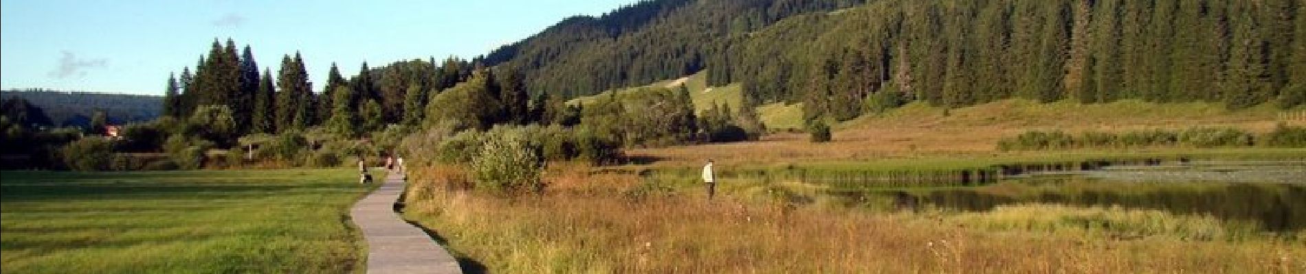 Tocht Stappen Lamoura - Les Points de vue du lac - Lamoura  - Photo