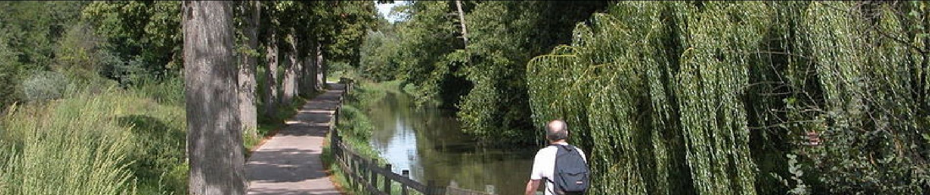 Tocht Stappen Molsheim - Les chapelles entre vignoble et canal - Avolsheim - Photo