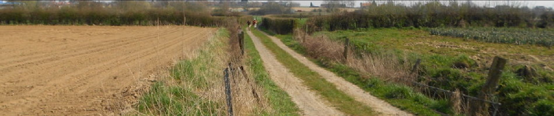 Trail Walking Eecke - Circuit du Klockhuis (Grande boucle) - Eecke - Photo