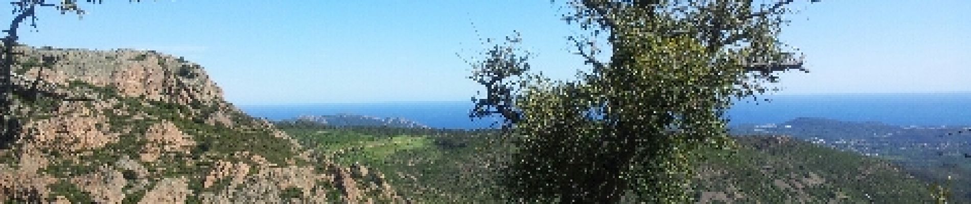 Percorso Corsa a piedi Fréjus - Estérel  - Photo