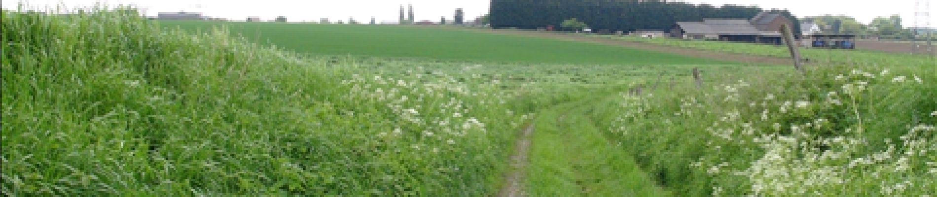 Punto di interesse Courcelles - Trazegnies - Photo