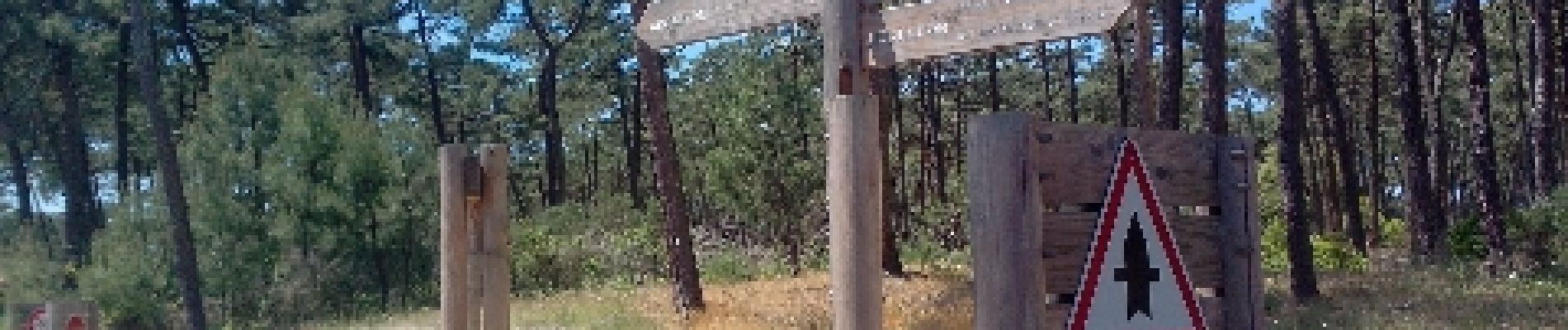 Punto de interés Lacanau - Porte de Lacanau Nord - Photo