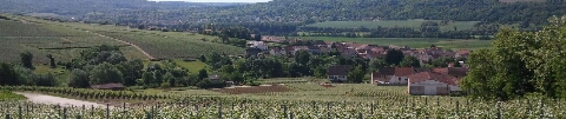 Tour Wandern Charly-sur-Marne - charly sur Marne - Photo