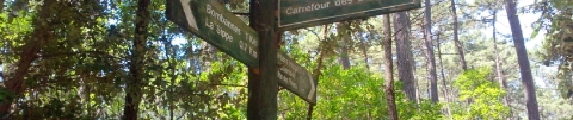 Punto de interés Carcans - Carrefour de la bruyère - Photo