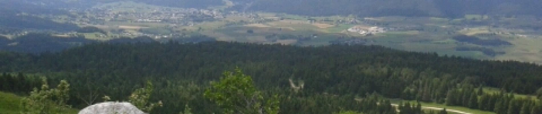 Tocht Stappen Lans-en-Vercors - Les Allières par dessus - Photo