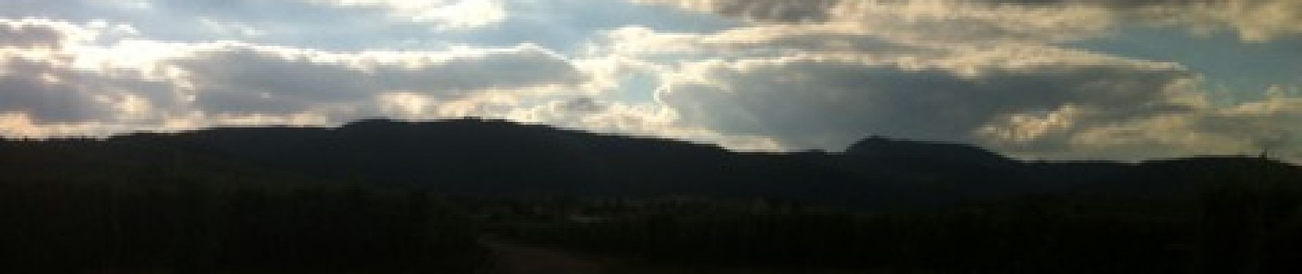 Punto de interés Bennwihr - Retour sur le vignoble - Photo