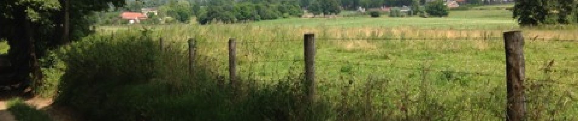 Point of interest Beek - Zicht op kerk van Spaubeek.  - Photo