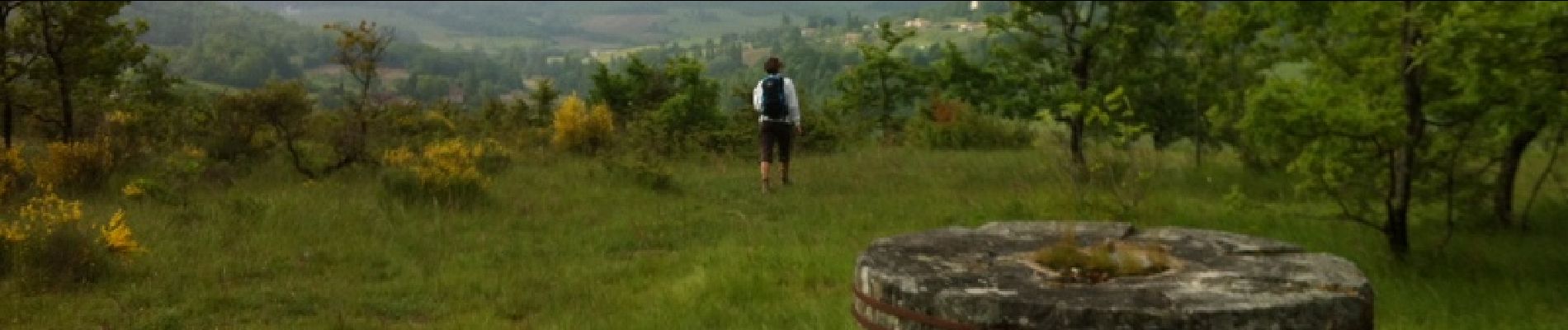 Tocht Stappen Lendou-en-Quercy - Circuit de Lolmie - Photo