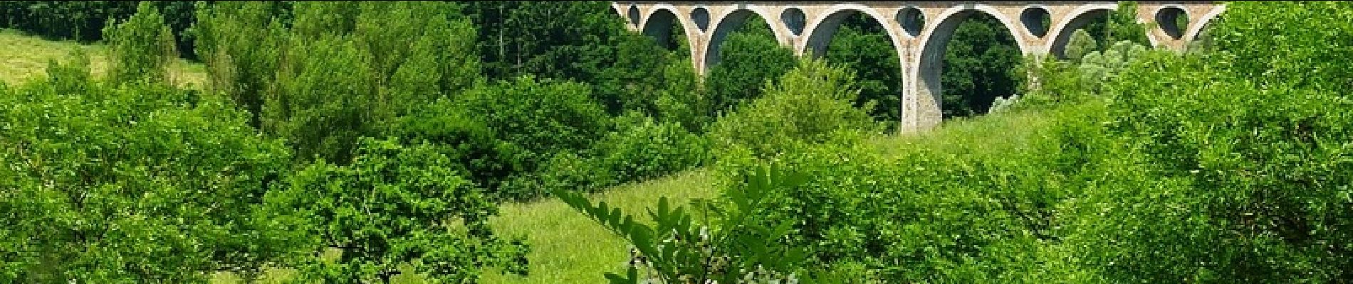 Tocht Mountainbike Balbigny - Autour des Gorges de la Loire - GR de Pays N° 4 : Le Viaduc des Chessieux - Les Chessieux - Photo