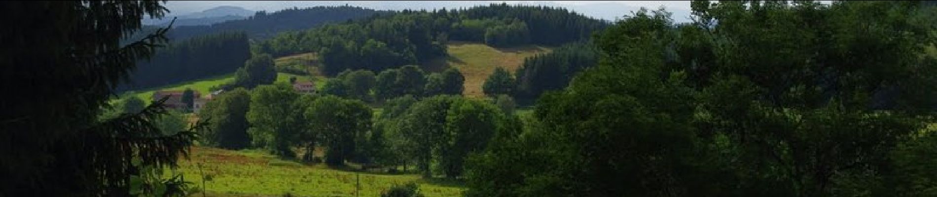 Randonnée Marche Cunlhat - Grand Chambois  -  Cunlhat - Photo