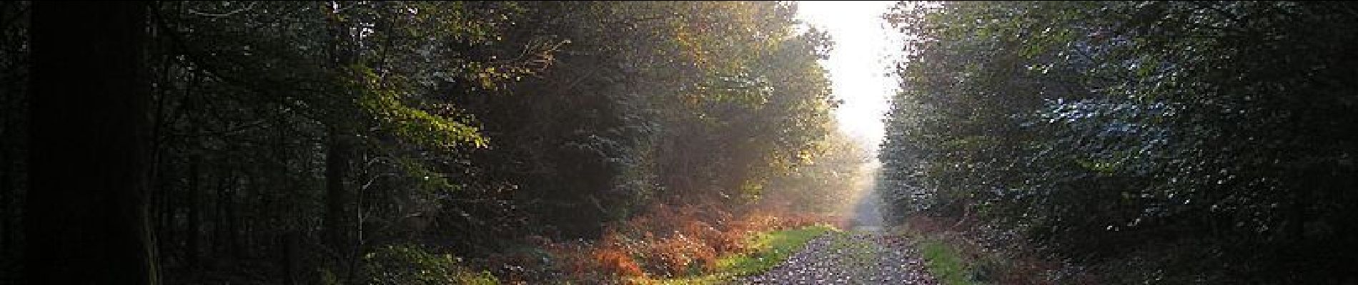 Percorso Mountainbike Noues de Sienne - De St Sever Calavados au Lac de la Dathée - Photo