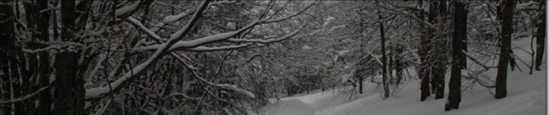 Percorso Racchette da neve Saint-Maurice-sur-Moselle - Ballon d''Alsace - St Maurice sur Moselle - Photo