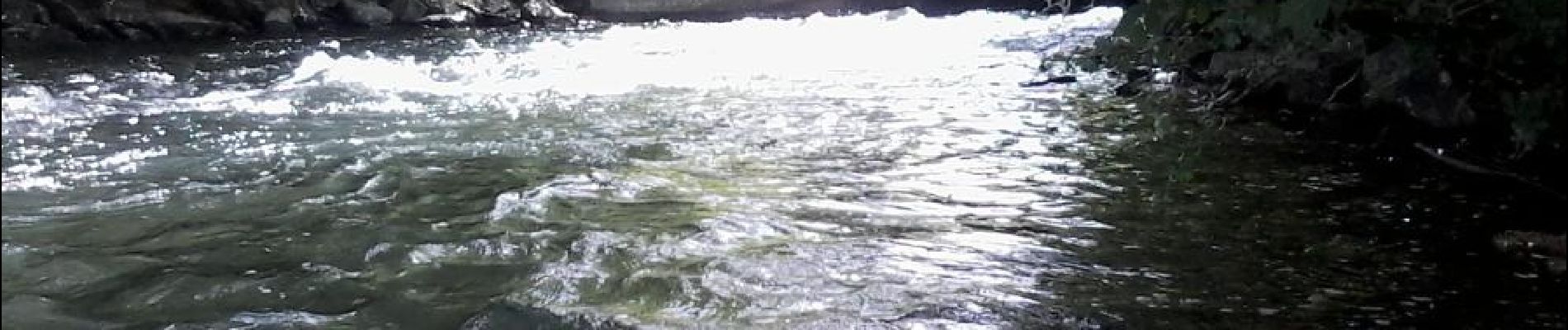 Trail Canoe - kayak Rhinau - Canoé-brunnwasser en canoé - Photo