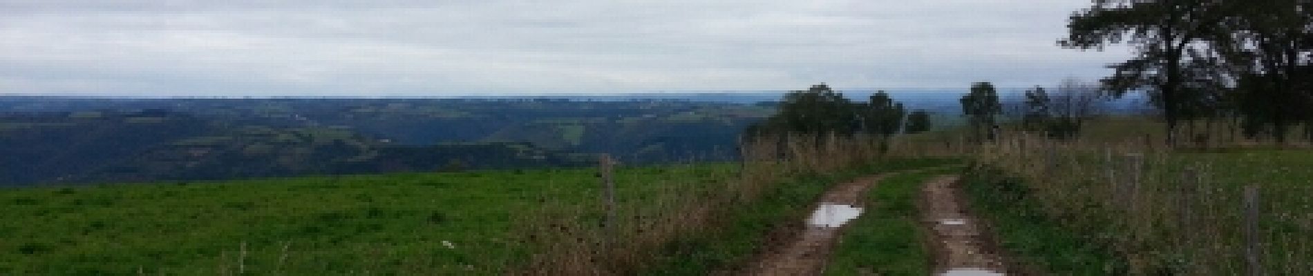 Tocht Mountainbike Montsalvy - coteaux du goul depuis montsalvy - Photo