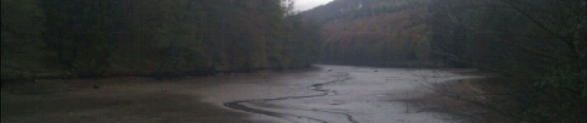 Randonnée Marche La Petite-Pierre - Etang de Donnenbach - Photo