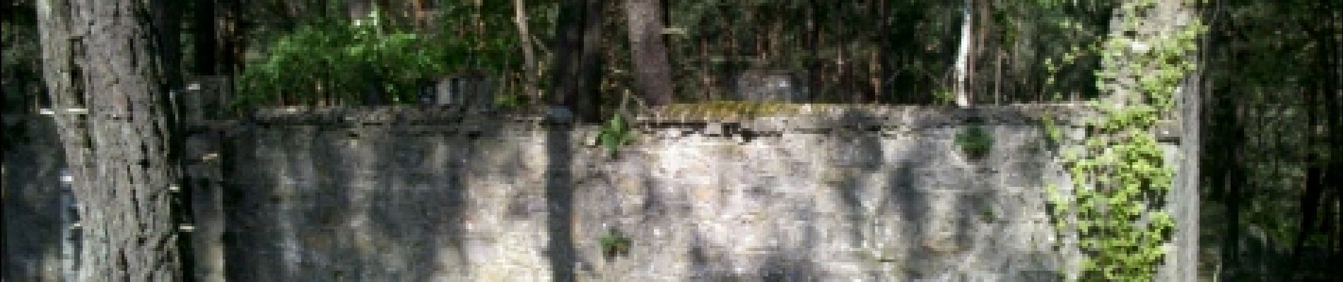 POI Fontainebleau - 10 - Rocher de la Salamandre - Photo