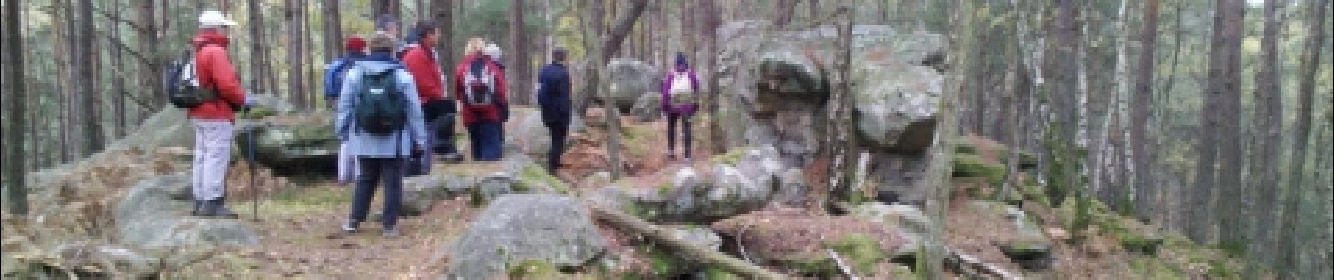 Point of interest Fontainebleau - 08 - Rocher de la Salamandre - Photo