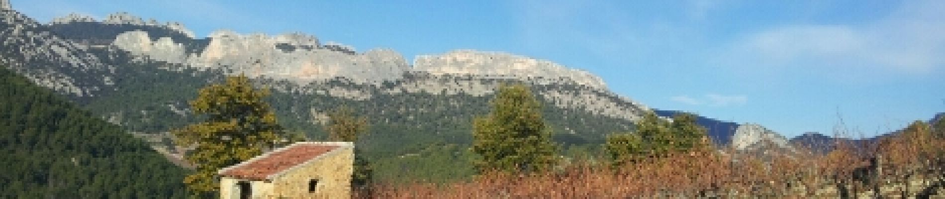 Randonnée Marche Beaumes-de-Venise - Beaumes de Venise Nord - Photo