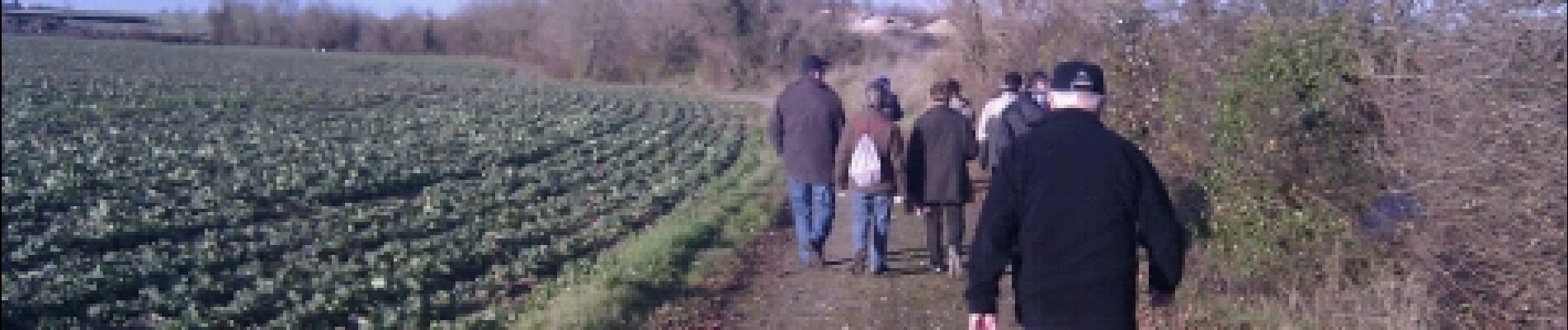 Tour Wandern Niort - St Liguaire (Buffevent)-6,7km - Photo