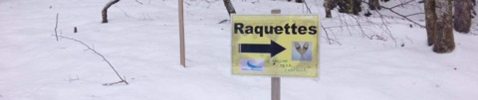 Randonnée Raquettes à neige Châtel - Châtel tennis - Chapelle d'Abond - Photo
