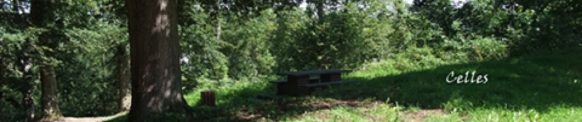 Point of interest Houyet - Picnic area - Celles - Photo