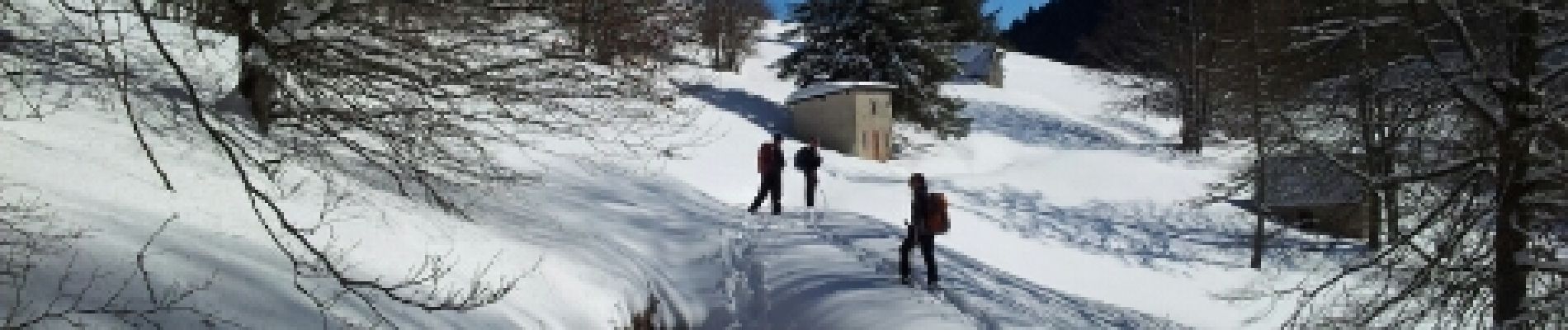Percorso Racchette da neve Melles - Melles - Photo