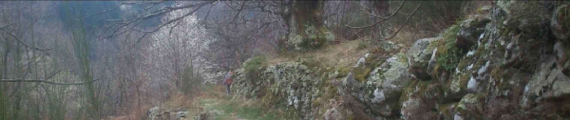 Tour Wandern Saint-Andéol-de-Vals - Saint Andeol de Vals - Chateau de Crau - Photo