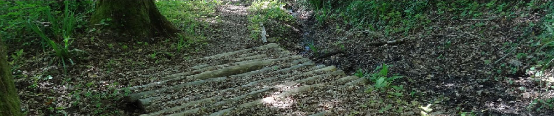 Point d'intérêt Objat - Traversée du bois le long du ruisseau - Photo