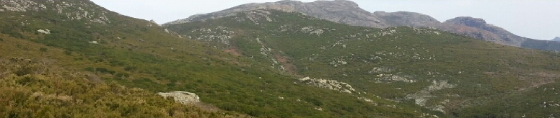 Tocht Lopen Ville-di-Pietrabugno - Mare et Mare Bastia Olmetu - Photo