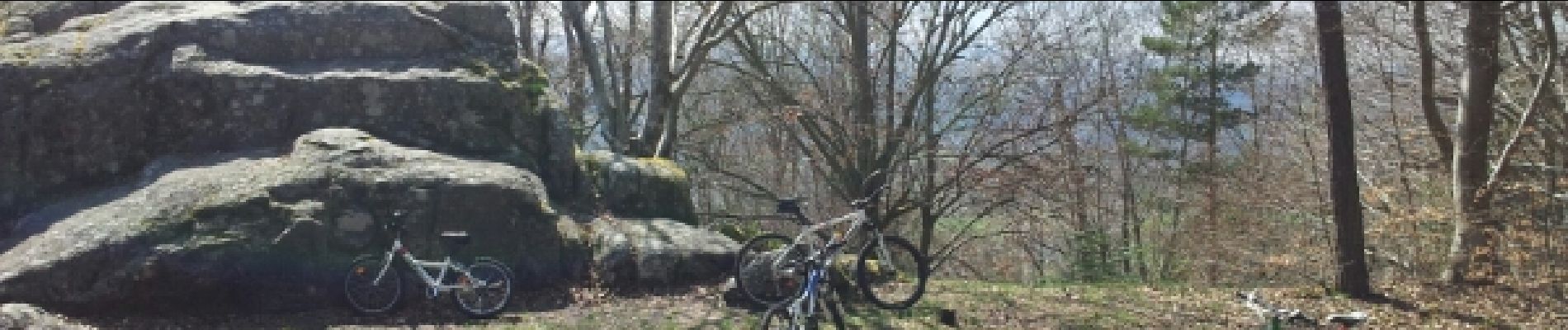 Trail Mountain bike Tence - tour roche druidique - Photo
