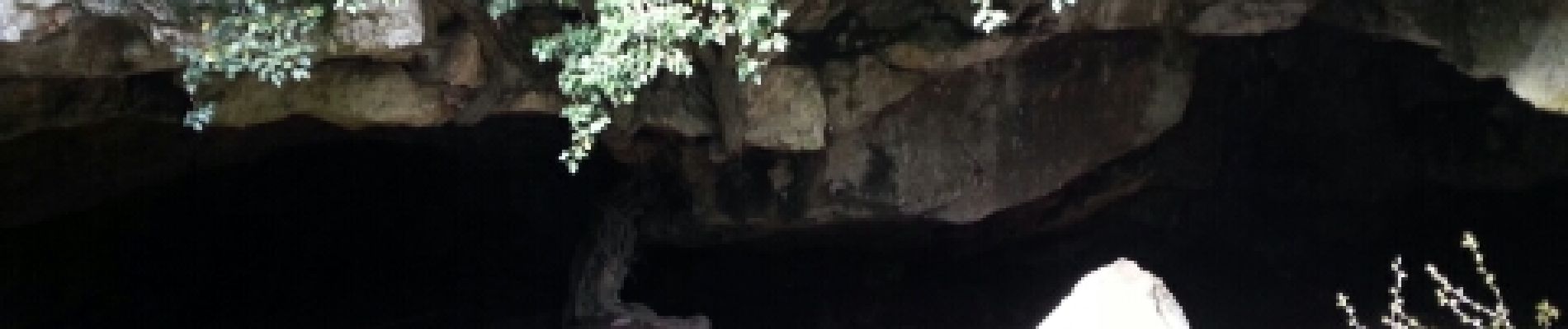 Randonnée Marche Signes - grotte du mounoi signes - Photo