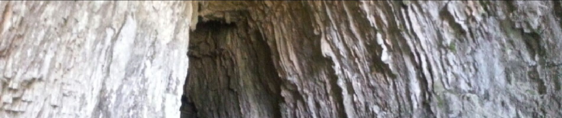 Randonnée Course à pied Chamesol - grotte du château des roches - Photo