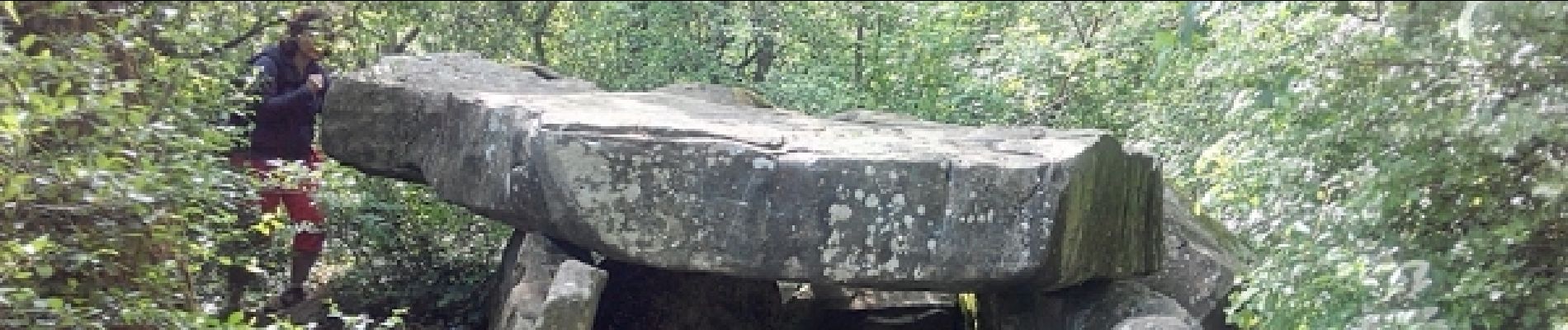 Point d'intérêt Janville-sur-Juine - Dolmen de la pierre levée - Photo