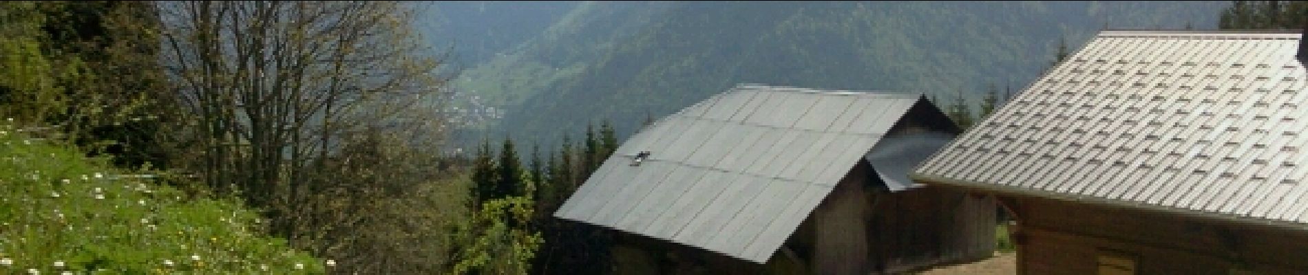 Tocht Stappen Vacheresse - MontBaron-BalconLacLeman - Photo