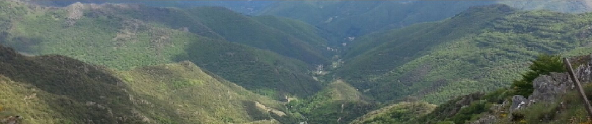 Randonnée Marche Val-d'Aigoual - mont Aigoual - Photo