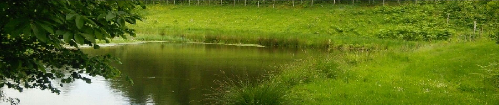 Punto di interesse Marval - le calme des petits étangs - Photo