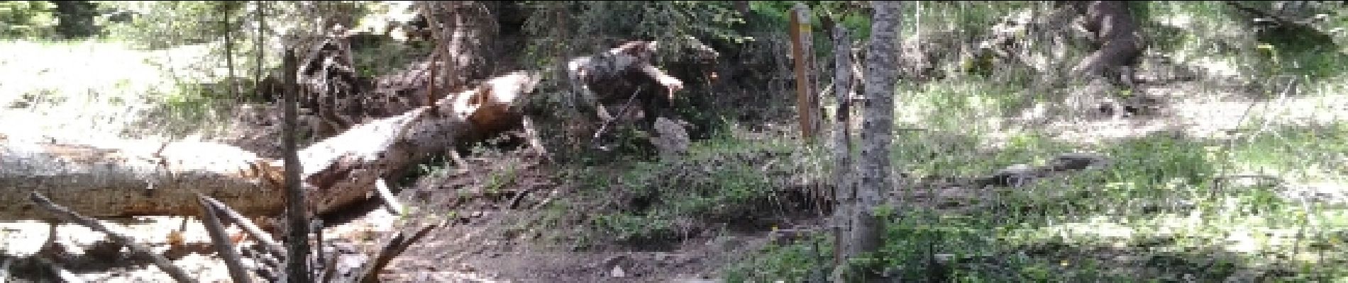 Randonnée Marche La Bollène-Vésubie - la cime de l'apriha - Photo