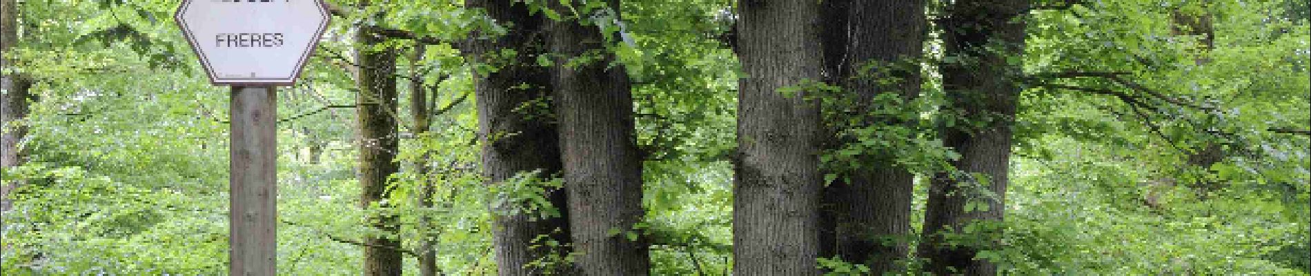 Point d'intérêt Viroinval - Les 7 frères  - Photo