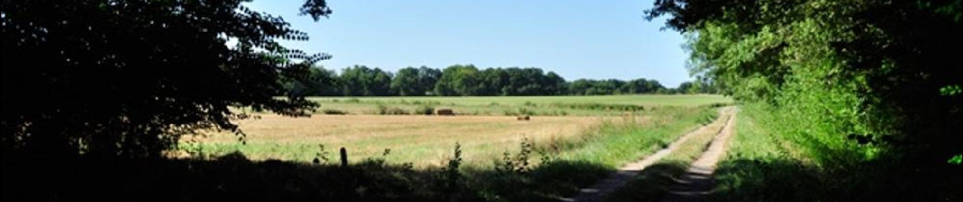 Point d'intérêt Mennetou-sur-Cher -  - Photo