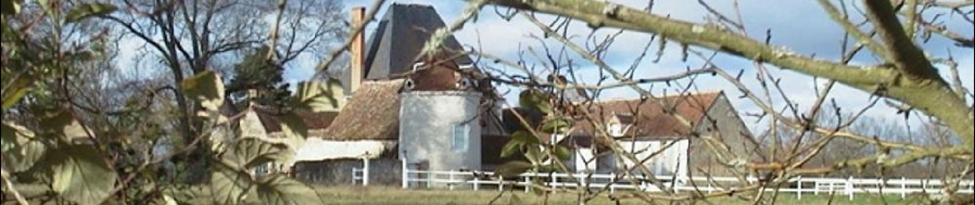 Point d'intérêt Mennetou-sur-Cher - Le Domaine de la Blatière - Photo