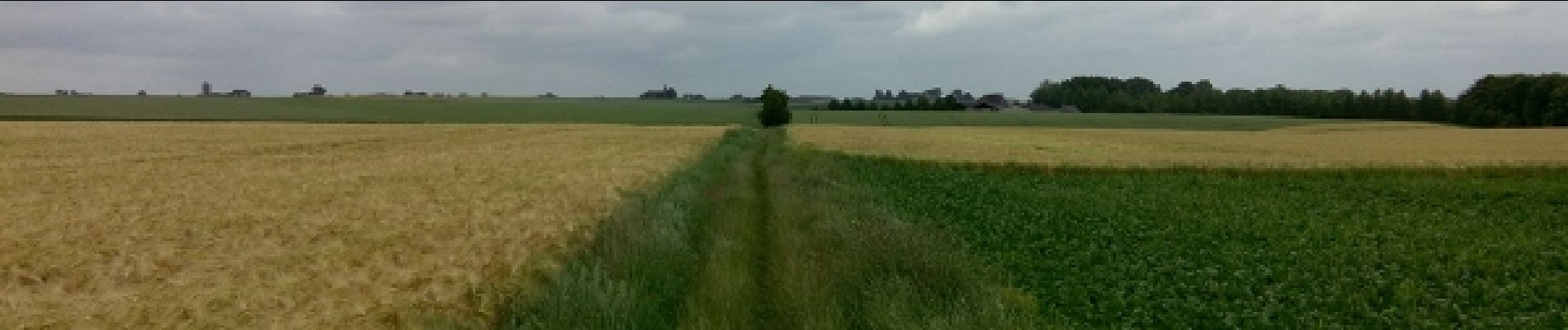 Tocht Paard Gembloers - POR - Stage 15/06/2014 - Photo