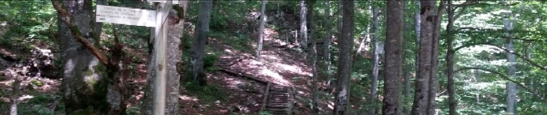 Point d'intérêt La Chaux-du-Dombief - Point 19 - Photo